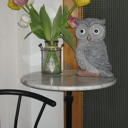 Taunusblick Und Penzion 2*