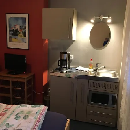 Taunusblick Und Penzion 2*